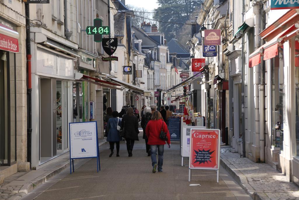 Ferienwohnung Sur Les Toits D'Amboise Exterior foto
