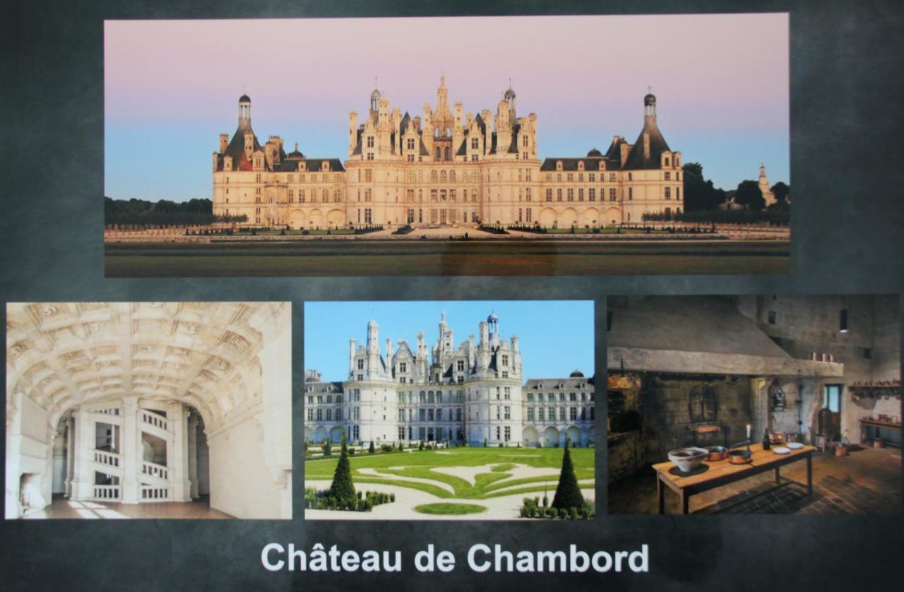 Ferienwohnung Sur Les Toits D'Amboise Exterior foto